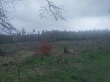 Blickrichtung Hessenpark