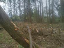 Keine Rücksicht auf Verluste...