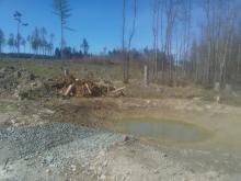 Massive Wegschädigung