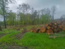 Wiederbefahrung des sich gerade erholenden Bodens mit schwerem Gerät bei Nässe