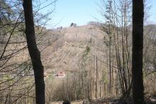 Küppelchen - Bad Laasphe-Nord 38 - Aufnahme gegenüber vom Wanderweg vom bzw. zum Schloß Wittgenstein