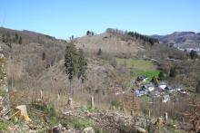 Küppelchen - Bad Laasphe-Nord 38 - Aufnahme gegenüber vom Wanderweg vom bzw. zum Schloß Wittgenstein