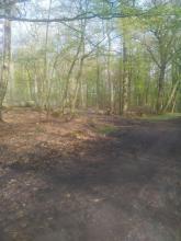 Massive Bodenzerstörung bei relativ geringer Entnahme