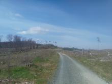 Blickrichtung Sandplacken