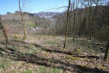 S/O Schloß Wittgenstein - Wanderweg vom/zum Schloß X2-X18-Raute2-L3-L6 - östlich/unterhalb &quot;Schnittelsberg&quot;