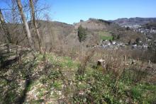 S/O Schloß Wittgenstein - Wanderweg vom/zum Schloß X2-X18-Raute2-L3-L6 - östlich/unterhalb &quot;Schnittelsberg&quot;