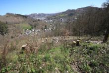 S/O Schloß Wittgenstein - Wanderweg vom/zum Schloß X2-X18-Raute2-L3-L6 - östlich/unterhalb &quot;Schnittelsberg&quot;