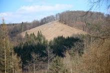 Eschelbach 573 m - Westflanke - dreifaches Schutzgebiet (NSG, FFH, Landschaftsschutzgebiet)