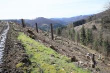 Eschelbach 573 m - Westflanke - dreifaches Schutzgebiet (NSG, FFH, Landschaftsschutzgebiet)