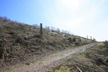 Eschelbach 573 m - Westflanke - dreifaches Schutzgebiet (NSG, FFH, Landschaftsschutzgebiet)