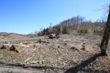 im Norden der &quot;Bracht&quot; - an Wanderweg L6 / A3 gelegen - dreifaches Schutzgebiet