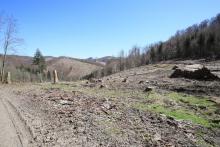 im Norden der &quot;Bracht&quot; - an Wanderweg L6 / A3 gelegen - dreifaches Schutzgebiet