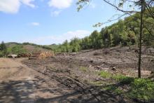 im Norden der &quot;Bracht&quot; - an Wanderweg L6 / A3 gelegen - dreifaches Schutzgebiet