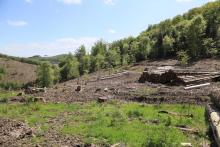 im Norden der &quot;Bracht&quot; - an Wanderweg L6 / A3 gelegen - dreifaches Schutzgebiet