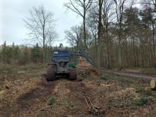 Hier ist ein schweres Gerät zu sehen, welches ca. 3 Meter vom Gehweg eine Rückegasse geschaffen hat,