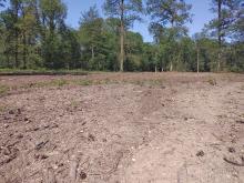 Bearbeitete Rodungsfläche