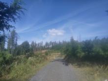 Blickrichtung Westen